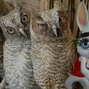 Мы С Тобой Счастливы Мы Такие Разные