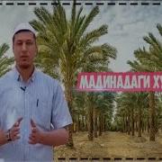 Мадинадаги Хурмозор Абдулазиз Домла