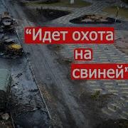 Идёт Охота На Свиней