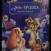 Леди И Бродяга Лунная Ночь