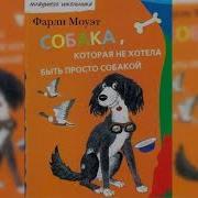 Собака Которая Не Хотела Быть Просто Собакой