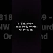 Roblox Id Code For Ynw Melly Murder On My Mind