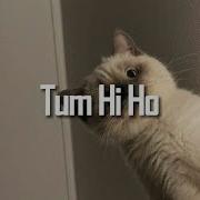 Tum Hi Ho Speed N Reverd