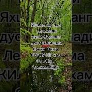 Ота Она Топилмайди