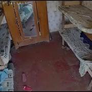 Мужик Упал С Кровати Мем