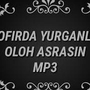 Behruzbek Nuriddinov Musofirda Yurganlarni Oloh Asrasin Mp3