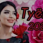 Байдхои Туёна