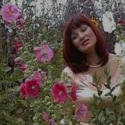 Пробачте Мамо Алла Загинайко