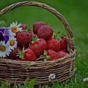 Гр Белые Крылья Мелодия