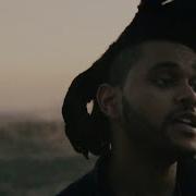 The Weeknd Tell Your Friends