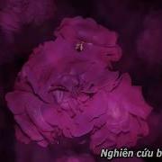 Для Сна Без Рекламы Дельта Волны