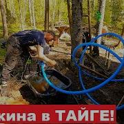Почему Он В Лесу Постоянно