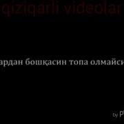 Ака Ва Ука Опа Синнгилар Топилмайди