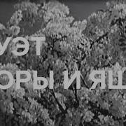 Дуэт Лоры И Яши Белая Акация