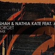 Roger Shah Never Forget Feat Amber