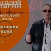 Новинка Сиреневая Весна Анатолий Кулагин