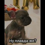 Чувствуете Выходными Пахнет
