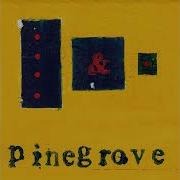 Pinegrove Need 2 Instrumental