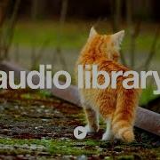 Kevin Macleod Scheming Weasel No Copyright Music