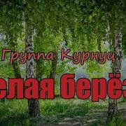 Белая Берёза