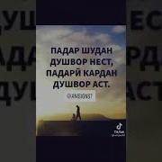 Падарчон Дустат Медорам