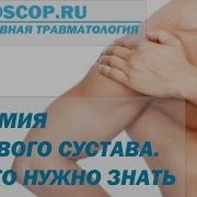 Алексей Тимушев