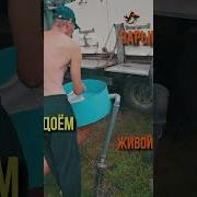 Дай Ведро Прикол