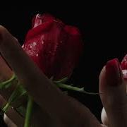 Вот Это Красивая Песня Незнакомка