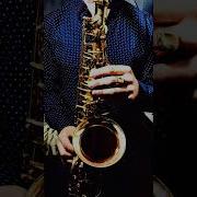 Сентябрь Женщина Любимая Моя Sax Cover By Omsax