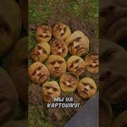 Вован Накартошку