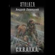 Stalker Схватка Андрей Левицкий