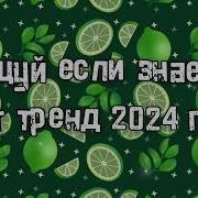 Тренды 2024 Года