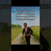 Мелстрой Смешные Фразы
