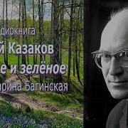 Аудио Книга Скуратав Юри