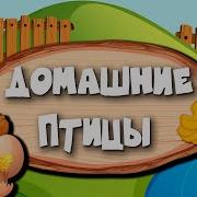 Голоса Домашних Птиц Для Детей