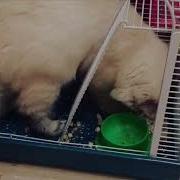 У Тебя Есть Что Нибудь Поесть