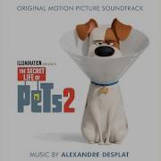 Alexandre Desplat Cat Lessons