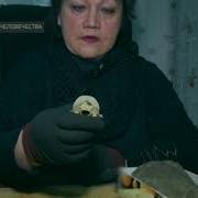 Гномы Живут В Горах Урала