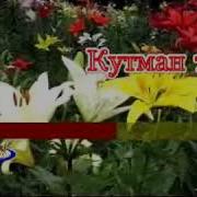 Кутмандуу Кунунуздор Мн