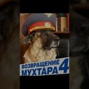 Музыка Из Сериала Возвращение Мухтара
