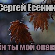 Как Жену Чужую Обнимал Березку Есенин