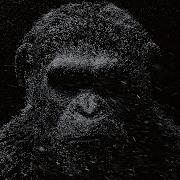 Dark Monkey Music Minimal Techno