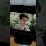 Какашками Здесь И Не Пахнет Сеньер