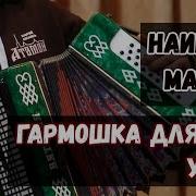 Наигрыш Гармошке