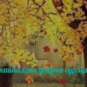 Мехрга Зор Калблар Йигламанг