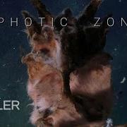 Aphotic Zone