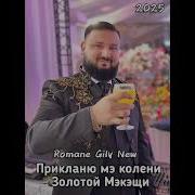 Золотой Мэкэщи