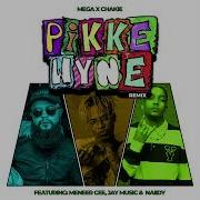 Pikkewyne Remix Sit Die Ding Innie Lug