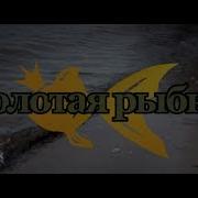 Золотая Рыбка Рэп