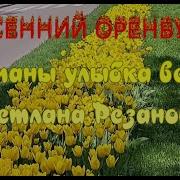 Тюльпаны Улыбка Весны Исполняет Светлана Резанова